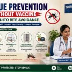 Dengue Prevention Without Vaccine Mosquito Bite Avoidance in Tropical Medicine Clinic at an Outpatient Clinic